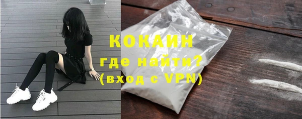 гидра Михайловка