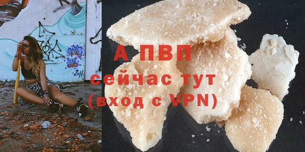 ГАЛЛЮЦИНОГЕННЫЕ ГРИБЫ Михайлов