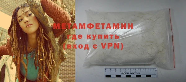 гидра Михайловка