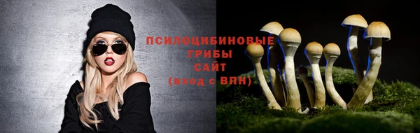 ГАЛЛЮЦИНОГЕННЫЕ ГРИБЫ Михайлов