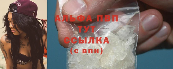 ГАЛЛЮЦИНОГЕННЫЕ ГРИБЫ Михайлов