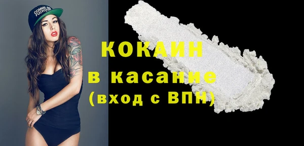ГАЛЛЮЦИНОГЕННЫЕ ГРИБЫ Михайлов