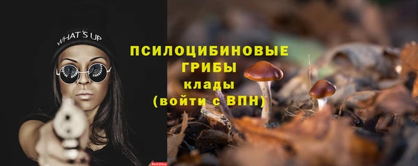 гидра Михайловка