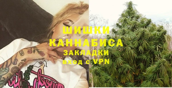 ГАЛЛЮЦИНОГЕННЫЕ ГРИБЫ Михайлов
