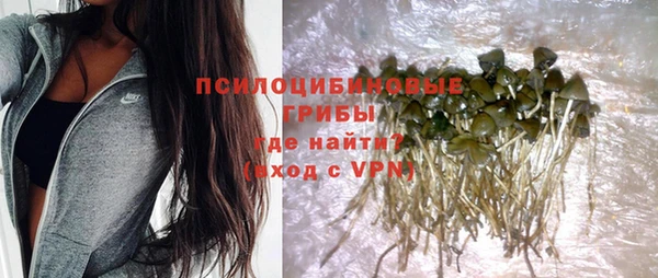 ГАЛЛЮЦИНОГЕННЫЕ ГРИБЫ Михайлов