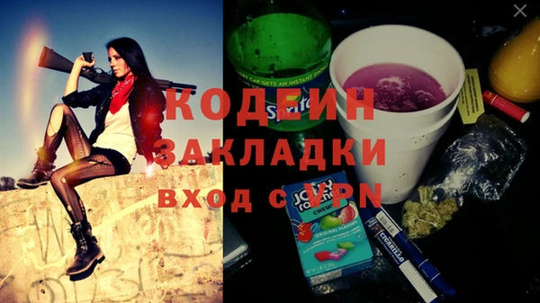 ГАЛЛЮЦИНОГЕННЫЕ ГРИБЫ Михайлов