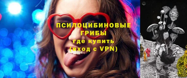 ГАЛЛЮЦИНОГЕННЫЕ ГРИБЫ Михайлов