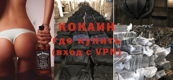 ГАЛЛЮЦИНОГЕННЫЕ ГРИБЫ Михайлов
