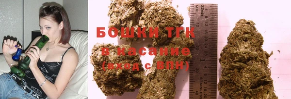 молекула духа Михайловск