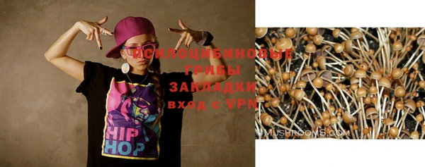 гидра Михайловка