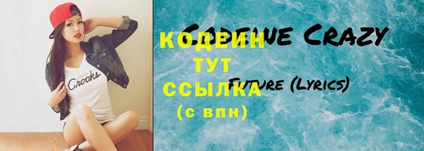 ГАЛЛЮЦИНОГЕННЫЕ ГРИБЫ Михайлов