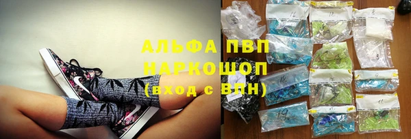 гидра Михайловка
